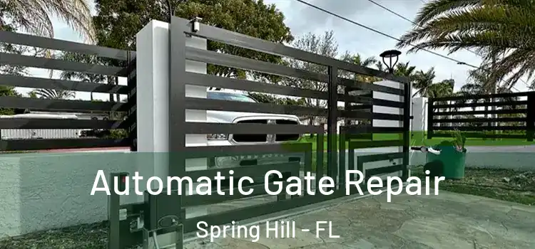 Automatic Gate Repair Spring Hill - FL