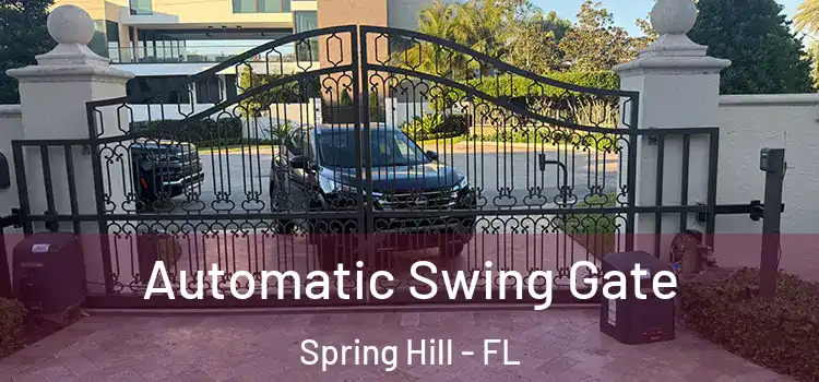 Automatic Swing Gate Spring Hill - FL