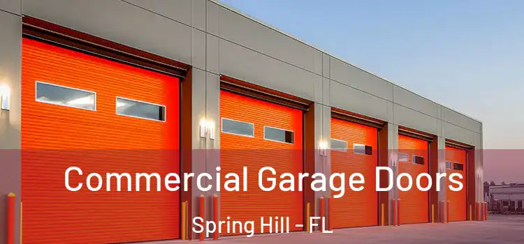  Commercial Garage Doors Spring Hill - FL