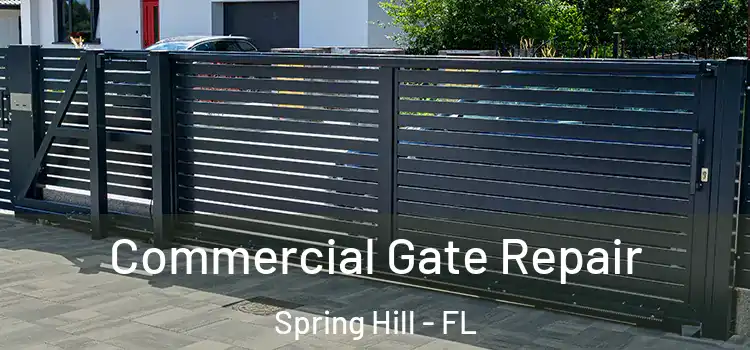Commercial Gate Repair Spring Hill - FL