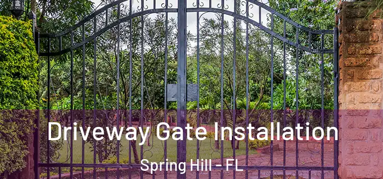 Driveway Gate Installation Spring Hill - FL