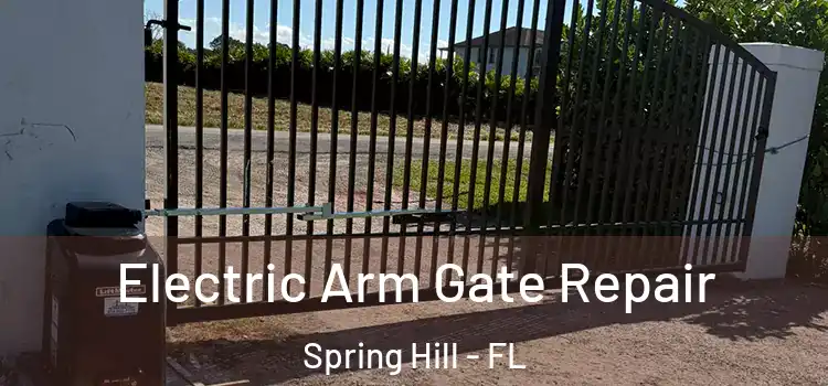  Electric Arm Gate Repair Spring Hill - FL
