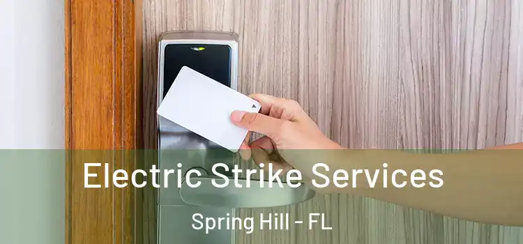  Electric Strike Services Spring Hill - FL