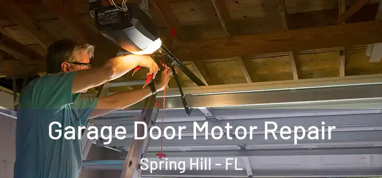  Garage Door Motor Repair Spring Hill - FL