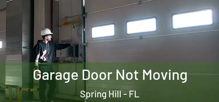 Garage Door Not Moving Spring Hill - FL