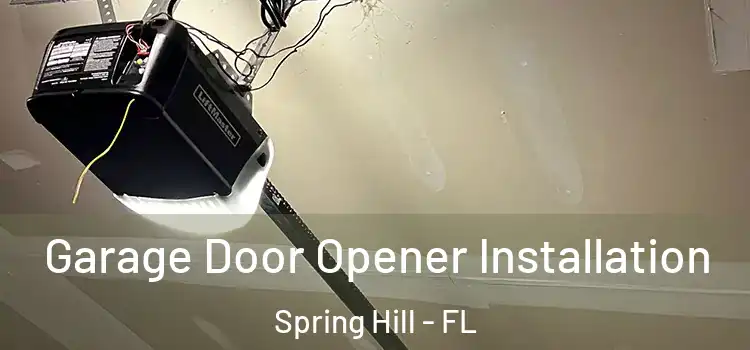  Garage Door Opener Installation Spring Hill - FL
