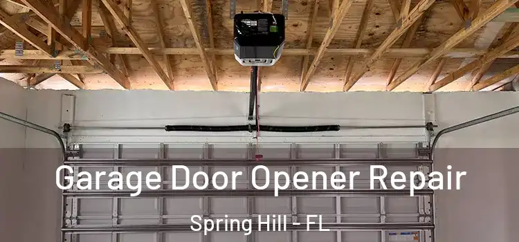  Garage Door Opener Repair Spring Hill - FL