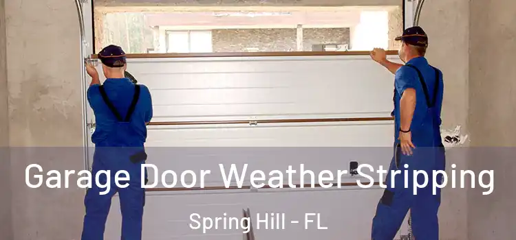  Garage Door Weather Stripping Spring Hill - FL