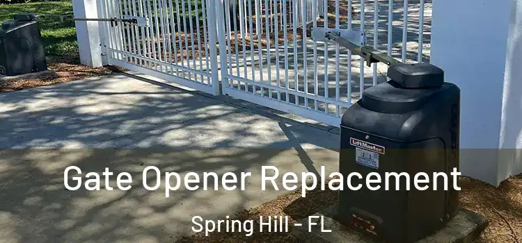 Gate Opener Replacement Spring Hill - FL