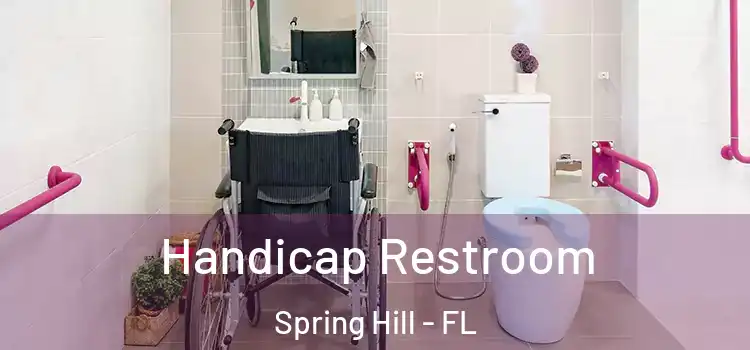 Handicap Restroom Spring Hill - FL