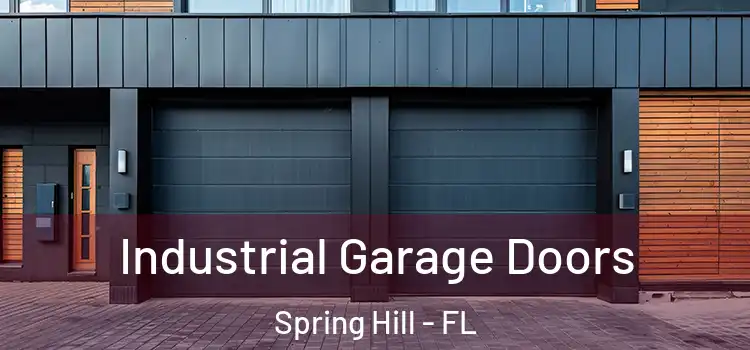  Industrial Garage Doors Spring Hill - FL