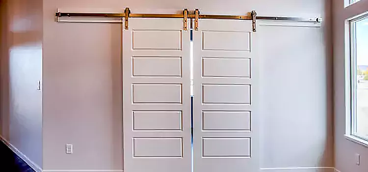 Glass Barn Door with Installation Hardware Kit Spring Hill