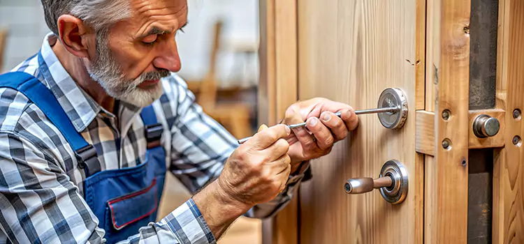 Mortise Replacement Lock Spring Hill