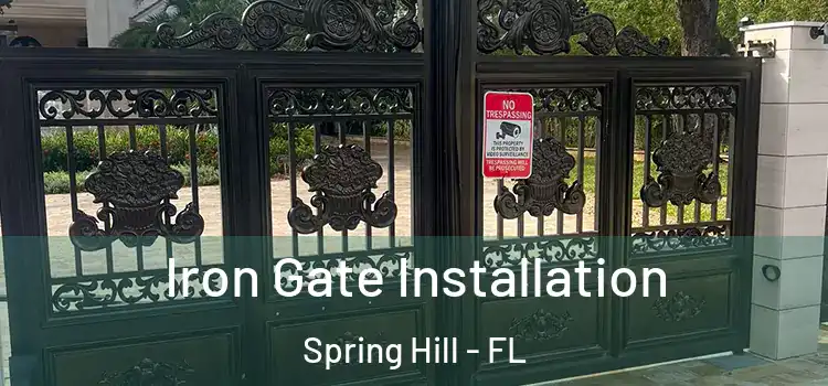 Iron Gate Installation Spring Hill - FL