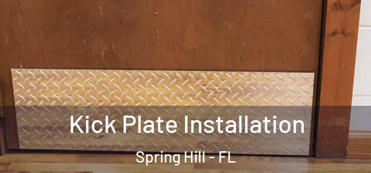 Kick Plate Installation Spring Hill - FL