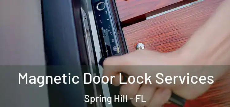 Magnetic Door Lock Services Spring Hill - FL