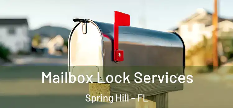 Mailbox Lock Services Spring Hill - FL
