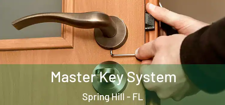 Master Key System Spring Hill - FL