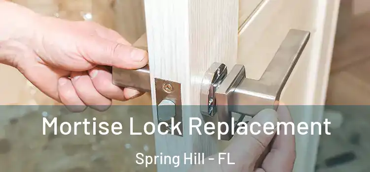 Mortise Lock Replacement Spring Hill - FL