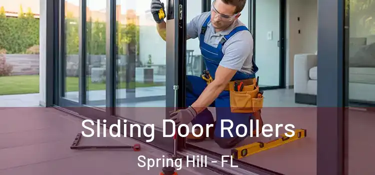 Sliding Door Rollers Spring Hill - FL