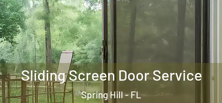 Sliding Screen Door Service Spring Hill - FL