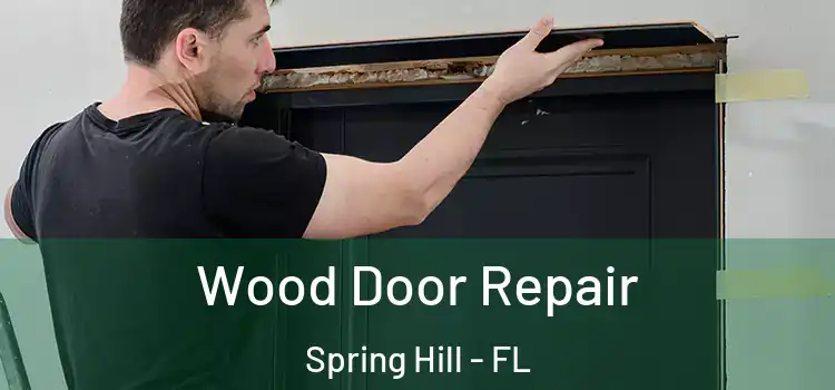 Wood Door Repair Spring Hill - FL
